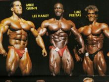 Mike Quinn