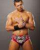 Mike 'The Miz' Mizanin