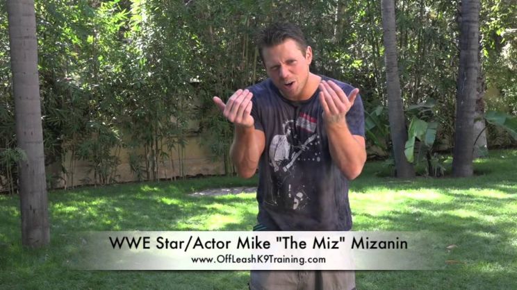 Mike 'The Miz' Mizanin