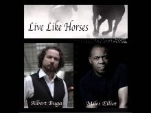 Miles Elliot photo