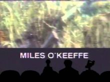 Miles O'Keeffe