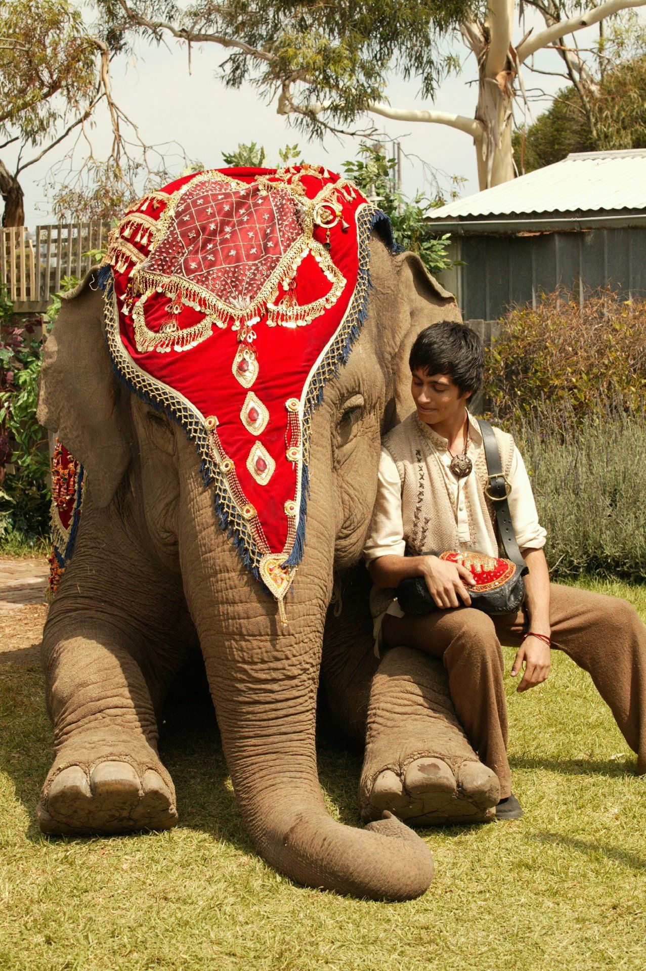 Слон и принцесса 2008. Принцесса слонов Сиам. Принцесса слонов Алекс.