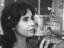 Millie Perkins