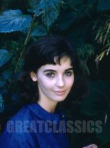 Millie Perkins