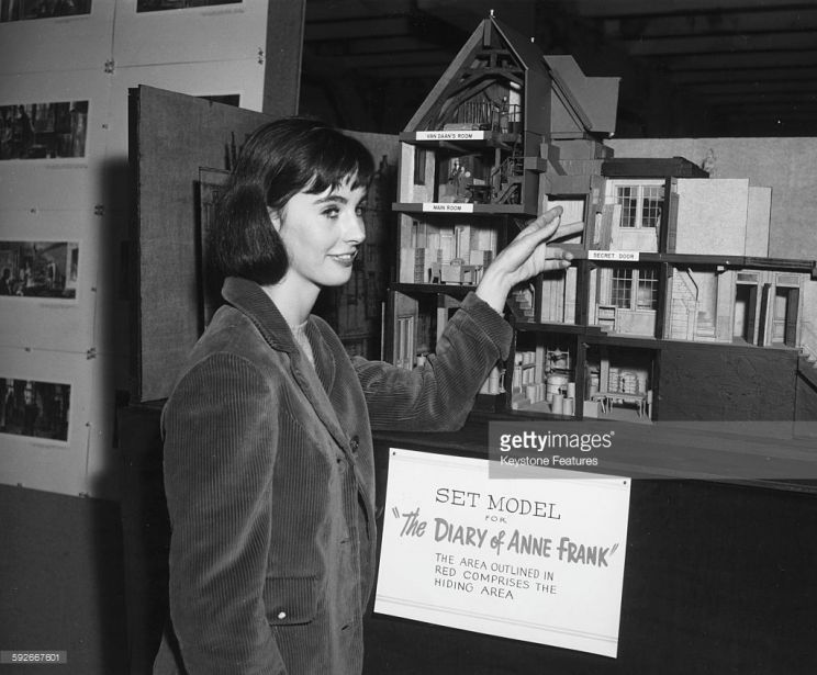 Millie Perkins