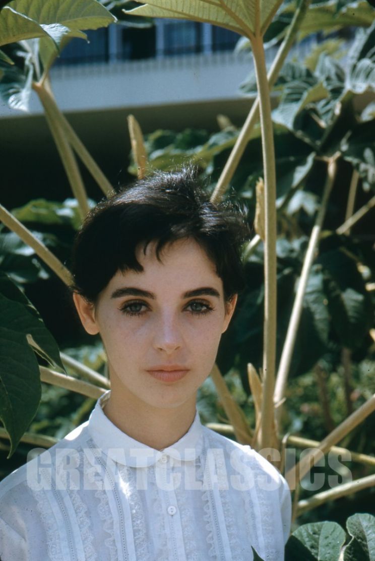 Millie Perkins