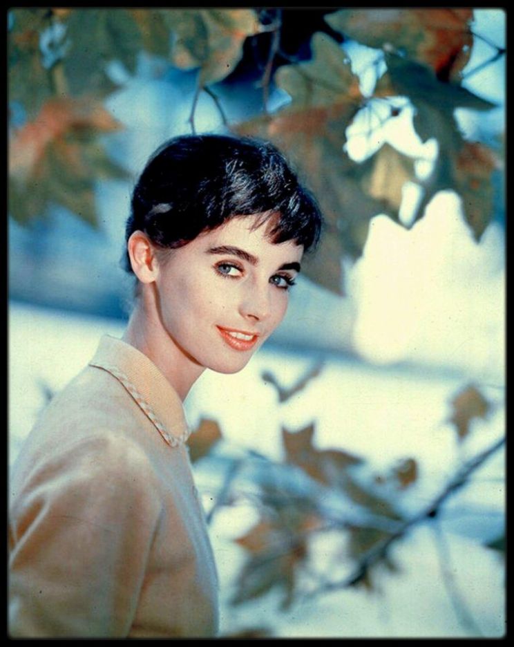 Millie Perkins