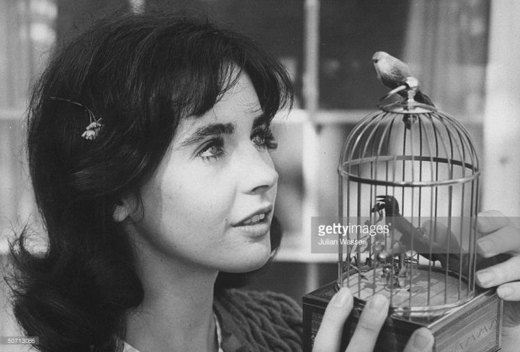 Millie Perkins