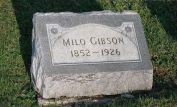 Milo Gibson