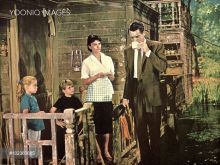 Mimi Gibson #3083310 picture (Landscape Medium)
