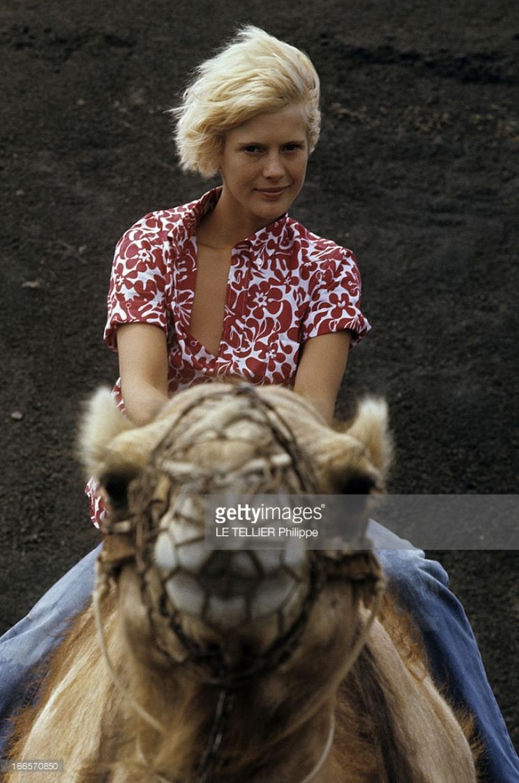 Mimsy Farmer