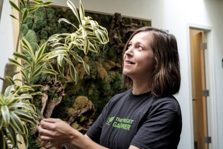 Miranda Plant