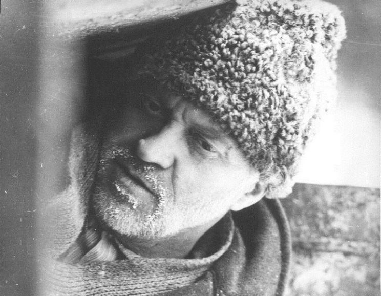 Mircea Daneliuc