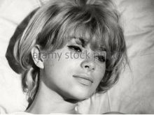 Mireille Darc
