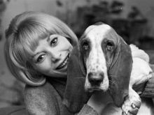 Mireille Darc