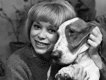 Mireille Darc