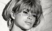 Mireille Darc