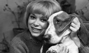 Mireille Darc