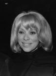 Mireille Darc