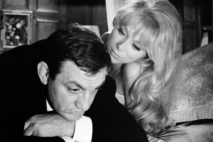 Mireille Darc