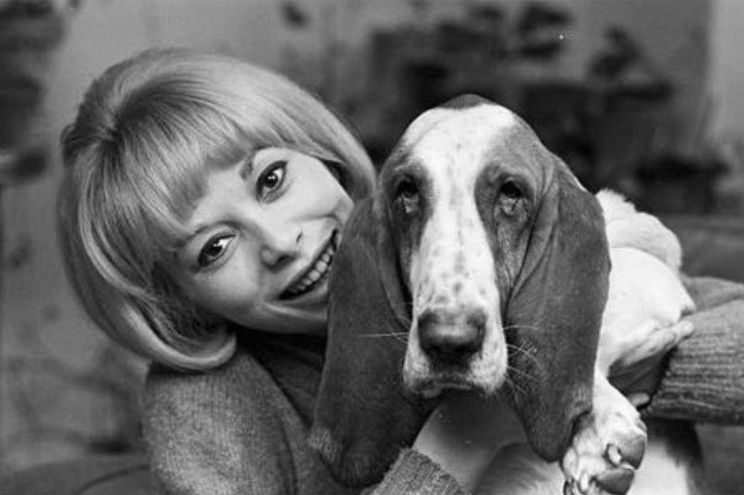 Mireille Darc