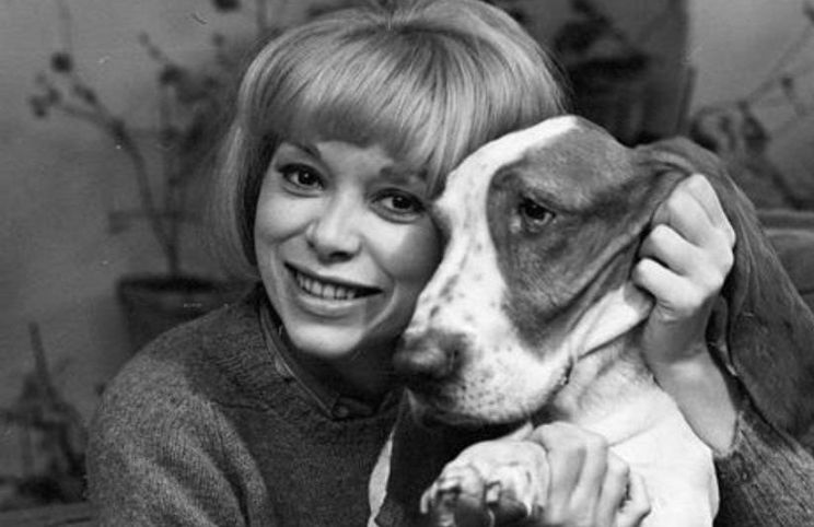 Mireille Darc