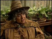 Miriam Margolyes