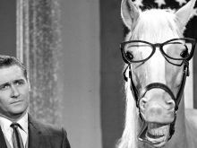 Mister Ed