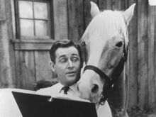 Mister Ed