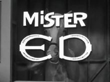 Mister Ed