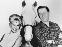 Mister Ed