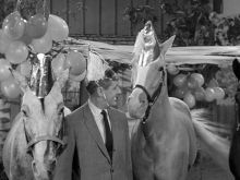 Mister Ed