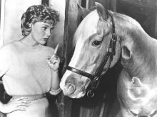 Mister Ed