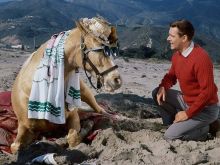 Mister Ed