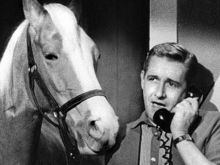 Mister Ed