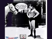 Mister Ed