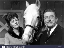 Mister Ed
