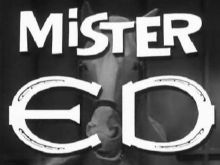 Mister Ed