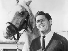 Mister Ed