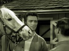 Mister Ed