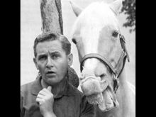 Mister Ed