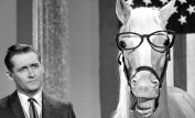 Mister Ed