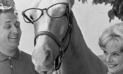 Mister Ed