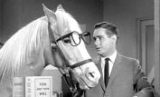 Mister Ed