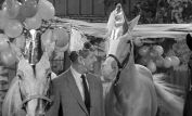 Mister Ed