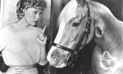 Mister Ed