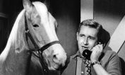 Mister Ed