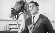 Mister Ed