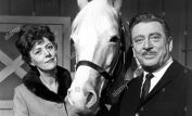 Mister Ed