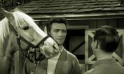 Mister Ed